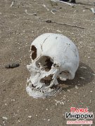 Locals from Mezhegei (Tandy, Tuva) found an ancient burial